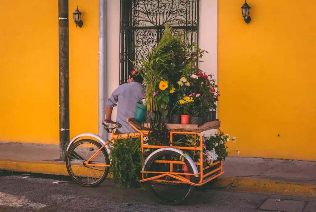Beginner's Guide to Cycling: Everything You Need to Know